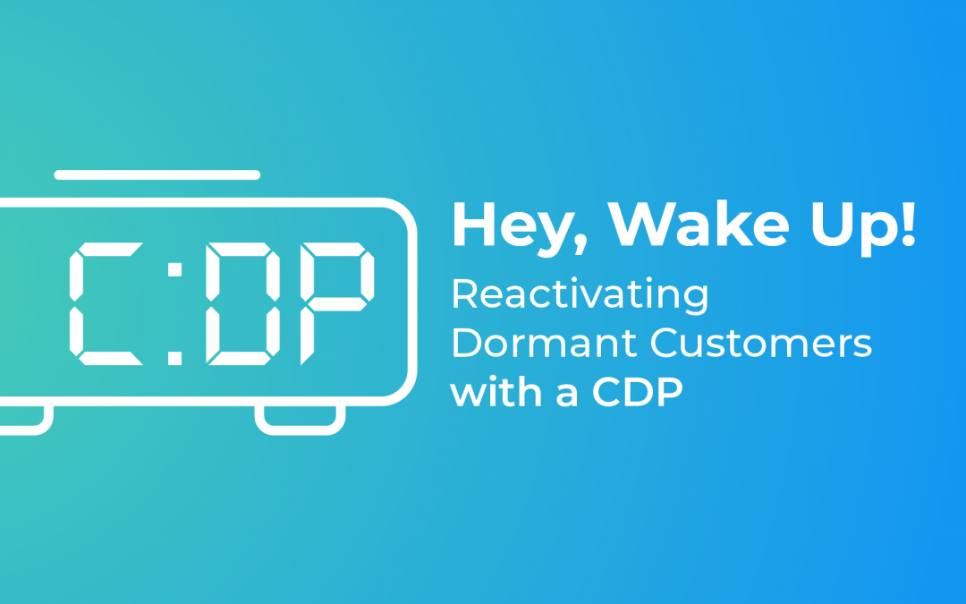 Hey, Wake Up! Reactivating Dormant Customers with a CDP
