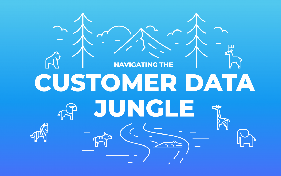 Navigating the Customer Data Jungle