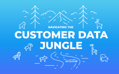 Navigating the Customer Data Jungle: What Separates a CDP from a DMP, CRM, DWH or Marketing Cloud?