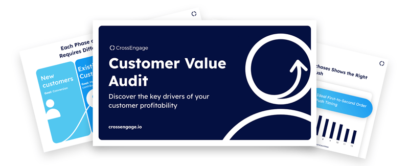 Customer Value Audit Download